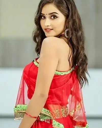 Call Girls Service Pichhore